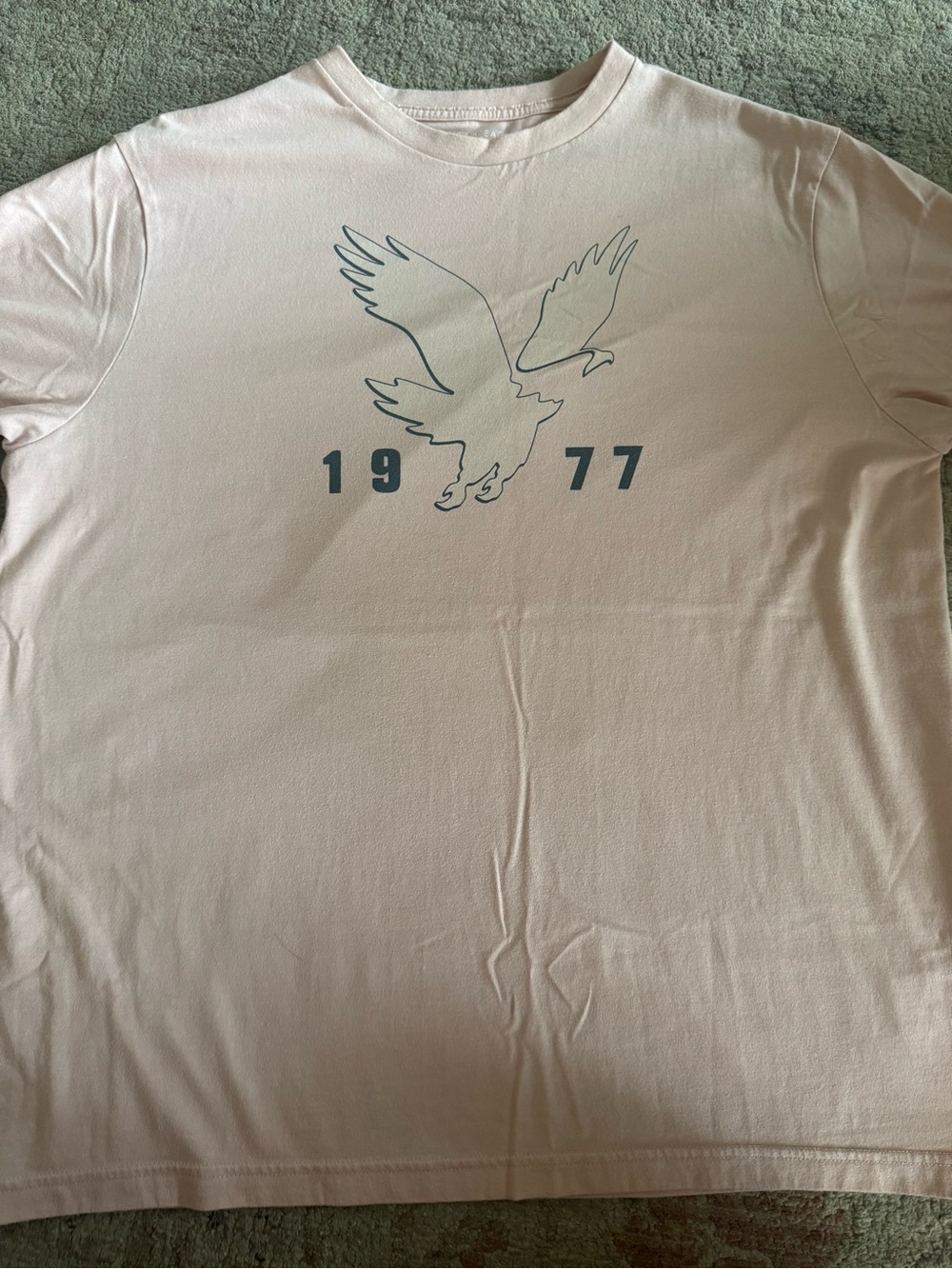 American Eagle Outfitters Pale Pink Graphic Tee with Blue Eagle Print